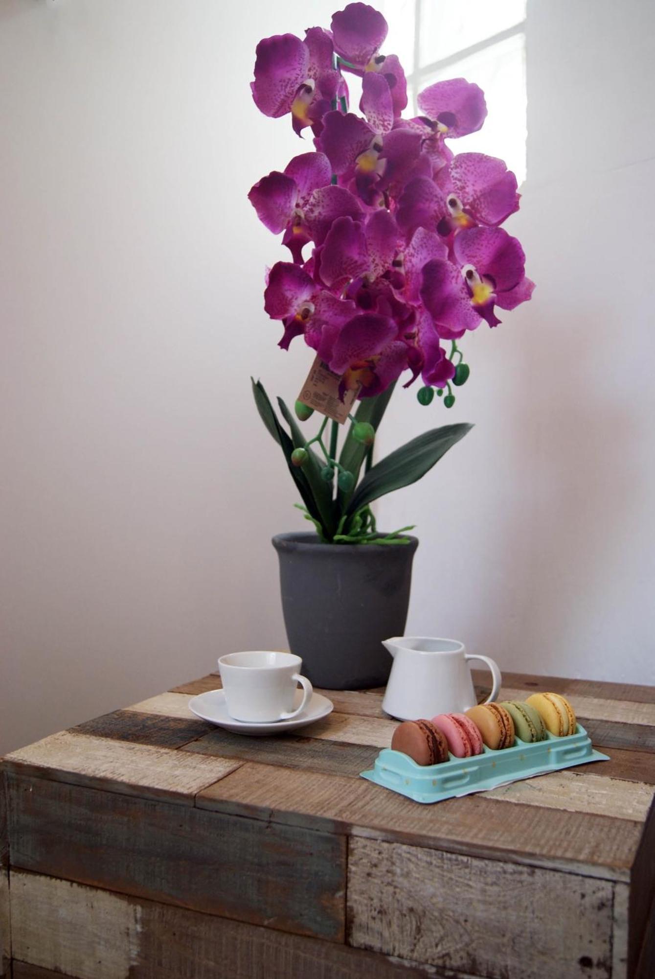 Apartamentos Centricos Barrio Del Carmen Valencia Ngoại thất bức ảnh
